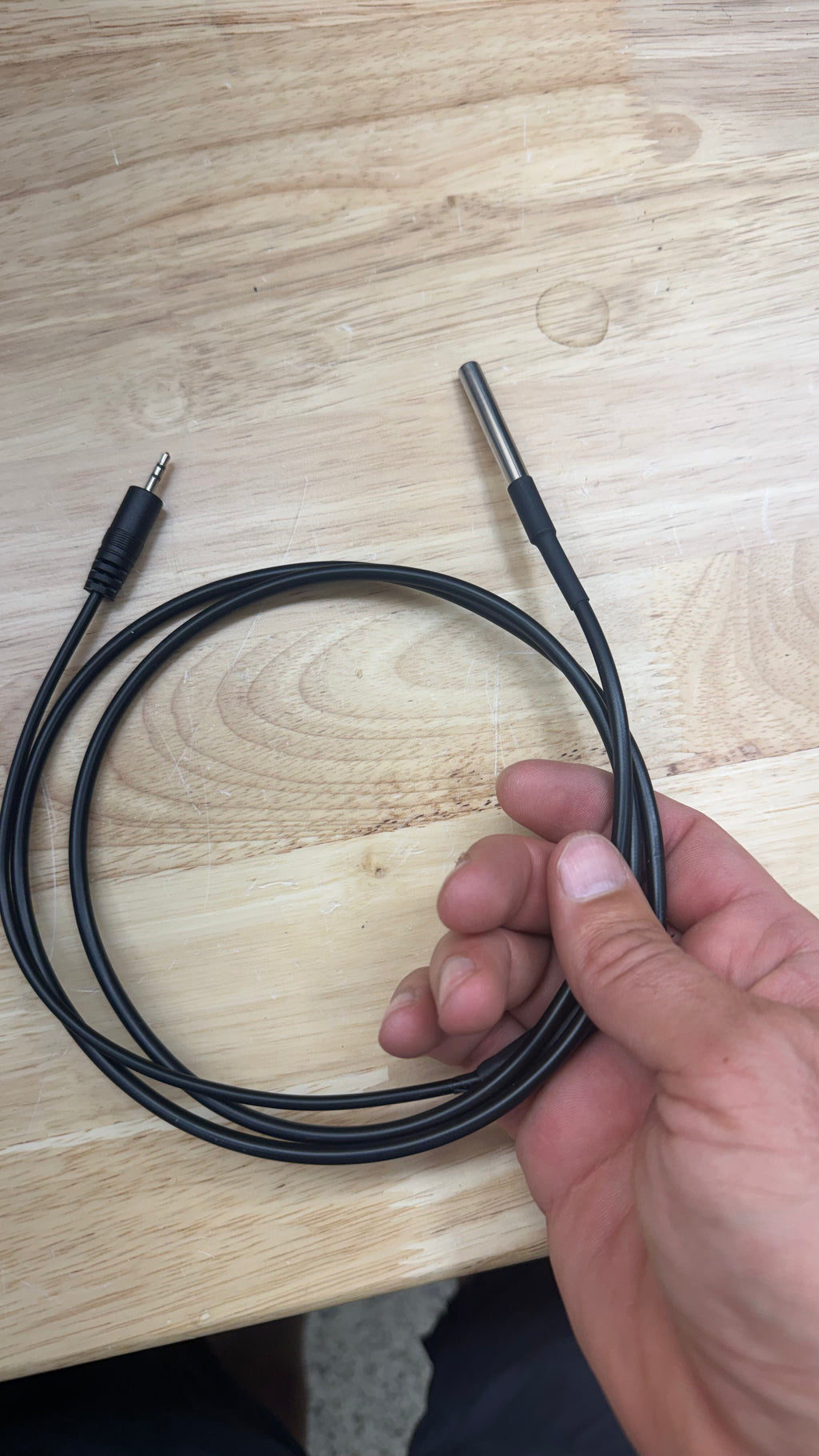 Temperature Probe
